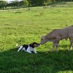 Ranch Fah * Spišské Podhradie