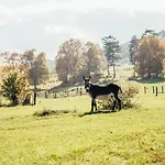 Ranch Fah アパート Spišské Podhradie