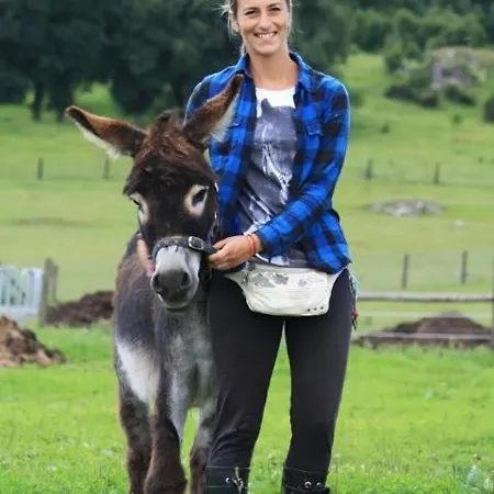 Appartamento Ranch Fah