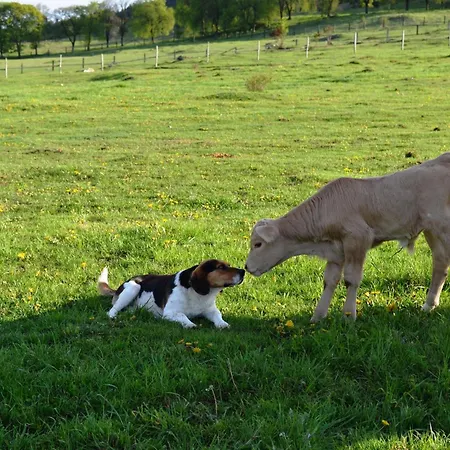 Ranch Fah * Spišské Podhradie