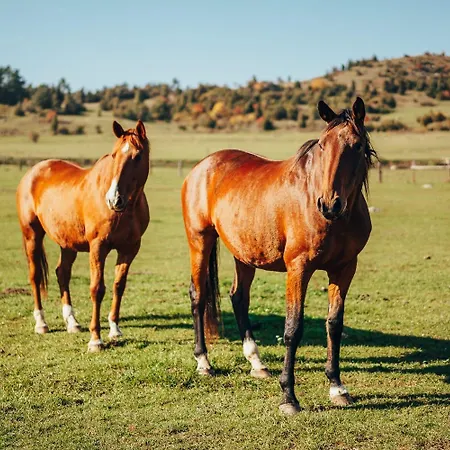Ranch Fah アパート