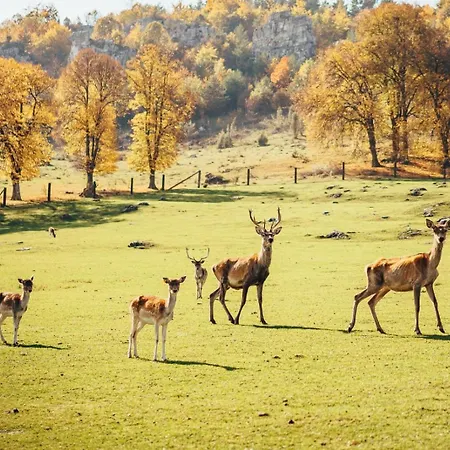 Ranch Fah アパート *