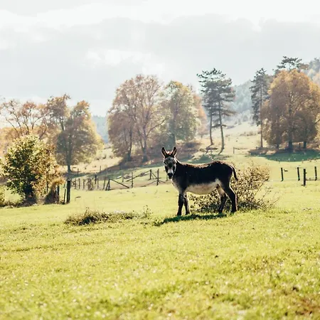 Ranch Fah アパート Spišské Podhradie