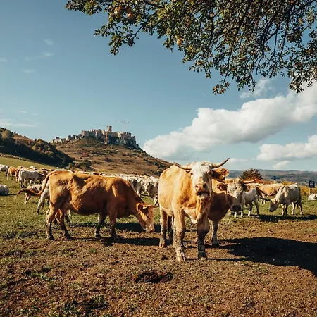 アパート Ranch Fah Spišské Podhradie