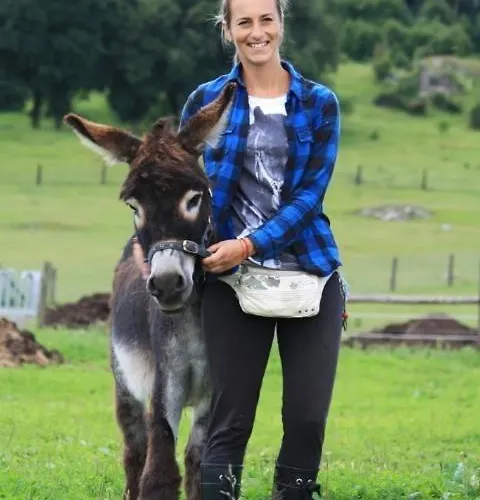 Appartamento Ranch Fah