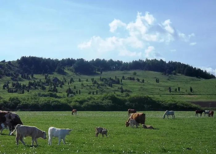 Ranch Fah Spišské Podhradie