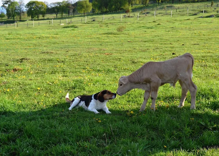 Ranch Fah * Spišské Podhradie