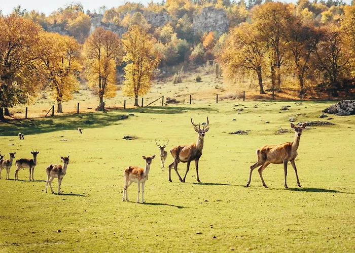 Ranch Fah Appartamento *