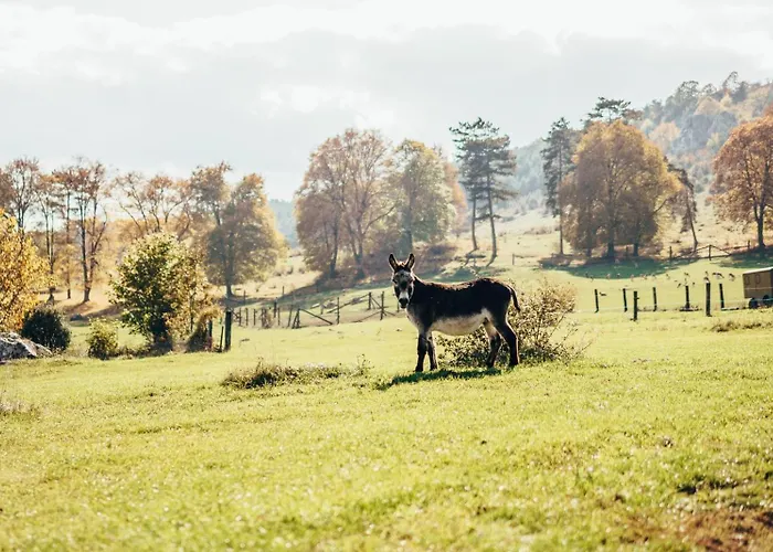 Ranch Fah Appartamento Spišské Podhradie
