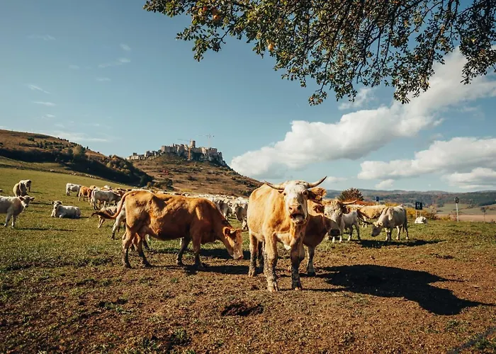Apartamento Ranch Fah Spišské Podhradie